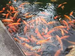 -佛山顺德香云纱园林酒店(清晖园店)