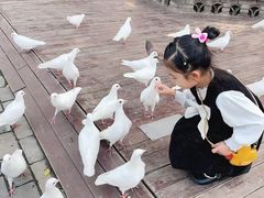 -茯茶镇