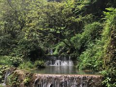 -青城山