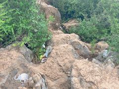 -长虫山生态公园风景林