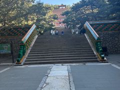 -颐和园