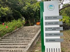 -火炉山森林公园