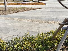 -陆家嘴世纪金融广场