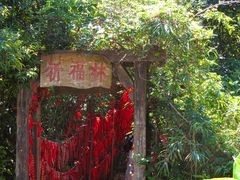 -海南铜鼓岭景区