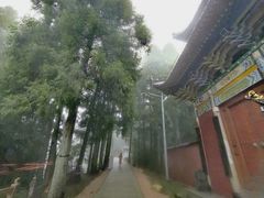 -玉苍山国家森林公园