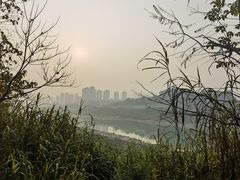 -金海湾滨江公园
