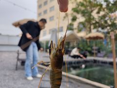-DGE季风钓虾营地·团建·聚会
