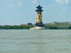 -溱湖国家湿地公园