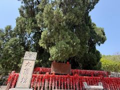 -四门塔风景区