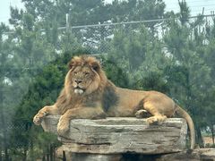 -西霞口神雕山野生动物世界