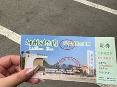 -柳州市动物园