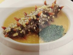 -沪碟·精菜坊(闵行店)