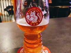 -Boxing Cat Brewery拳击猫精酿啤酒馆(永福店)