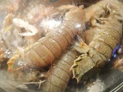 蒸汽海鲜-乔哥铭洋海鲜自助(皇城恒隆广场店)