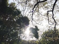 -伯先公园