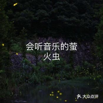 江浙沪出游优选！酉坞里萤火虫主题公园！