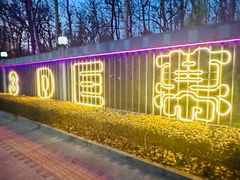 -枫花园汽车电影院(朝阳公园店)