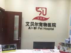 -艾贝尔宠物医院 ·内科全科(梁溪路店)