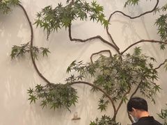 -耳艺采耳·足疗(市桥店)