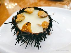 海胆蒸蛋-渔码头食府(蓬莱阁店)