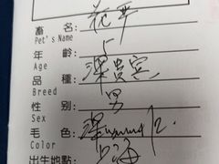 -申普宠物医院·心脏介入·心血管微创(总院)