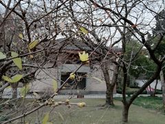 -浙江省博物馆(孤山馆区)