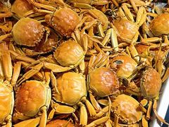 -兴芮温泉度假区