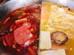 台式麻辣花胶鸡鸳鸯锅-湊湊火锅·茶憩(世博大道店)