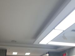-半岛宠物医院24小时(白果林店)