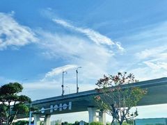 -青枫公园
