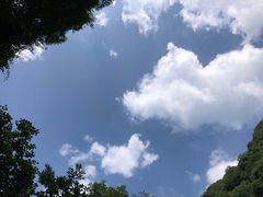 -西安祥峪森林公园