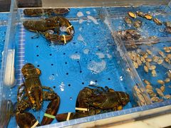 -箸福·夜上海(雨花客厅店)