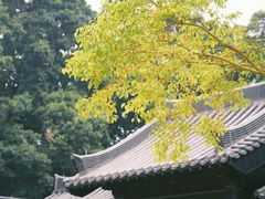 -荔湾湖公园