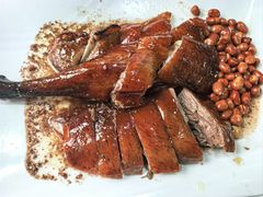 -石岐乳鸽村(南海第三分店)