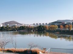 -羊山湖公园