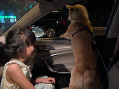 -美联众合动物医院·24h转诊中心