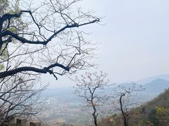 -鹫峰国家森林公园