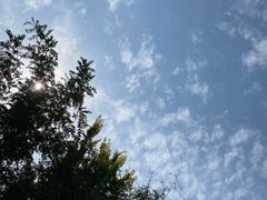 -塘沽森林公园
