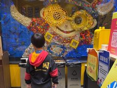 -杨梅红艺术教育(北京金源购物中心校区)