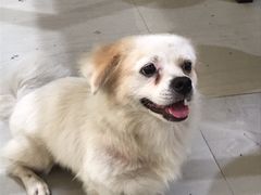 -姐妹炖罐店(桂香街总店)