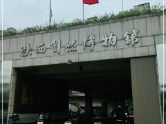 -陕西自然博物馆