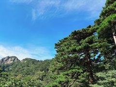 -黄山风景区