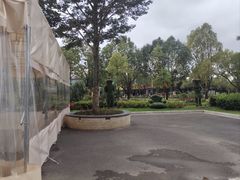 -花之城