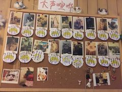 -猫色咖啡·猫咖