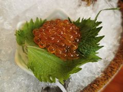 鲑鱼籽-文三酒肆自助放题(新街口友谊广场店)