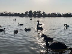 -艾溪湖湿地公园