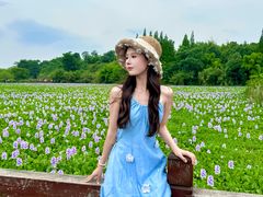 -白鹭湾湿地公园