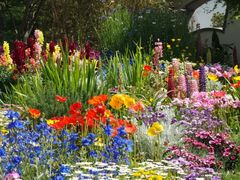 -上海共青森林公园