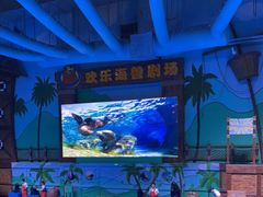 -石家庄极地海洋世界