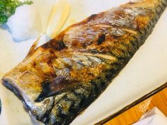 -千吉日本料理(日本一条街店)